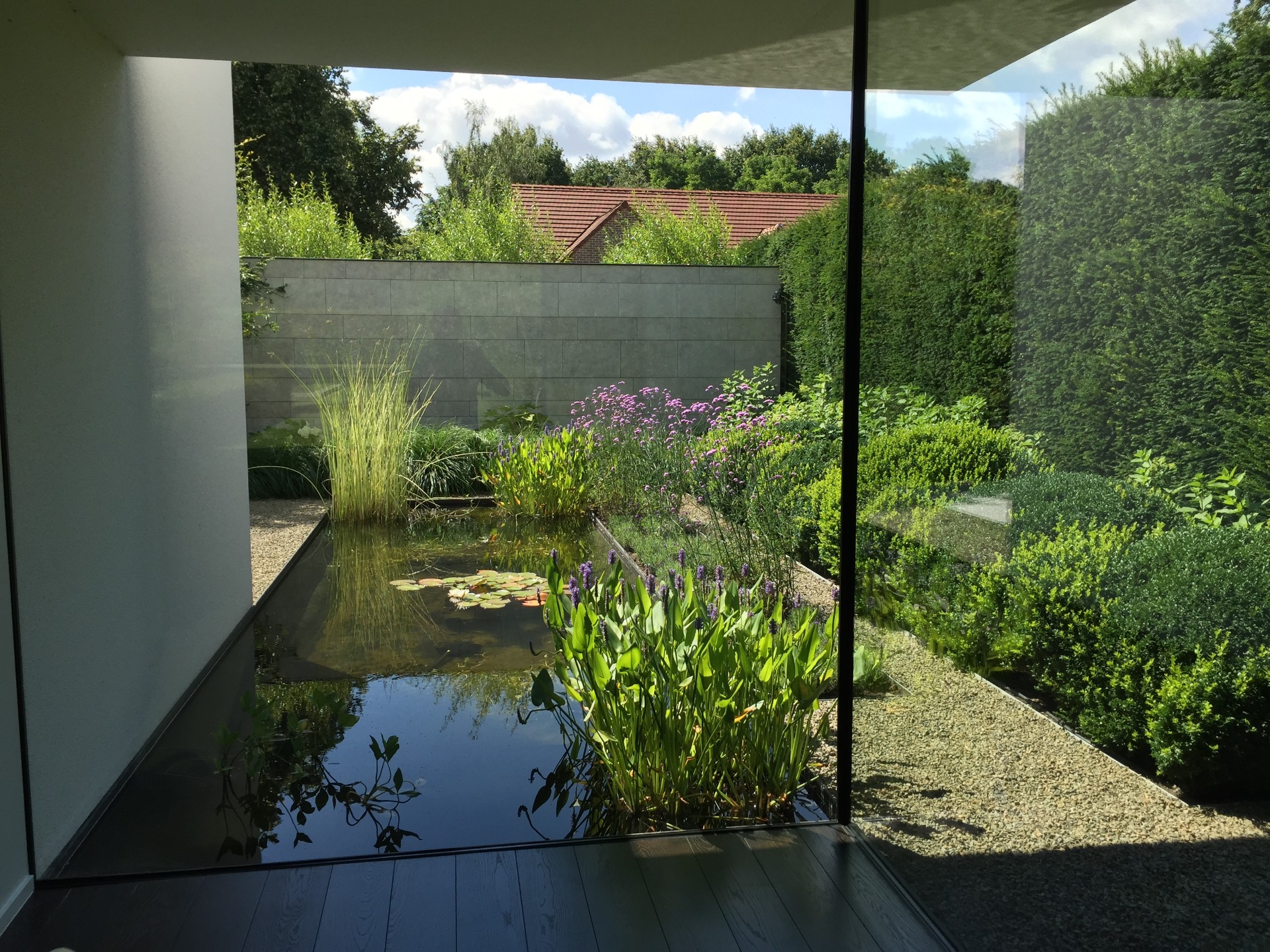 Grammatica Salie Immuniteit Moderne tuin met strakke vijver | Ons project - PUUR Groen